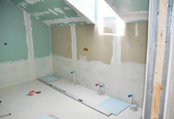 Best Mold Odor Removal Services  in Shaker Heights, OH