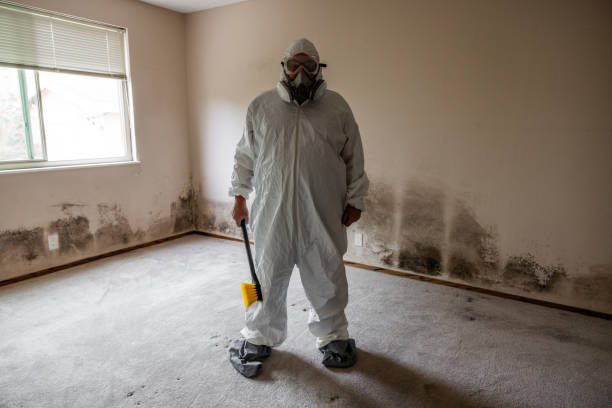 Best Air Quality Testing for Mold Spores  in Shaker Heights, OH